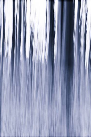 Print of Abstract Tree Photography by Martine DF