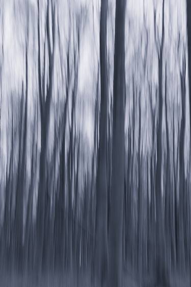 Print of Abstract Nature Photography by Martine DF