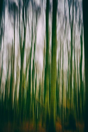 Print of Nature Photography by Martine DF