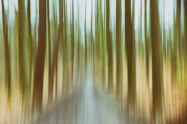 Print of Abstract Nature Photography by Martine DF