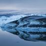 Collection ICE FORMATIONS