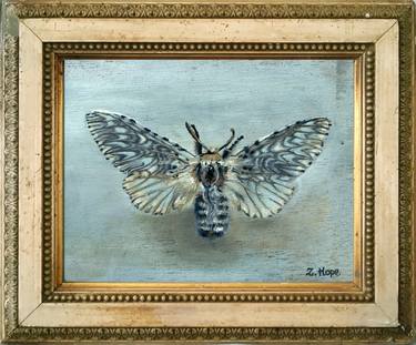 Mariposa (Moth) | BIZAARE PAINTINGS thumb