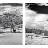 Four Vermont Squares by John Lehet