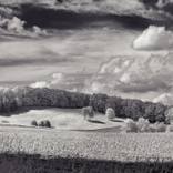Spring Cornfield, Hay Field, Clouds Vermont - Limited Edition 500 of 500 by John Lehet