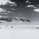 One Cow, Thirteen Hay Bales; Iceland - Limited Edition 500 of 500 by John Lehet