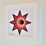 Collection Paper Art & Sculptures Inc.Wearable Fashions