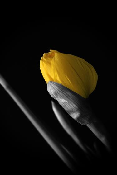 Yellow thumb