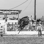 Collection American Rodeo