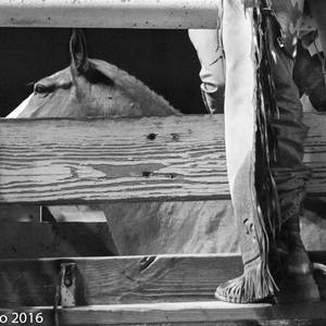 Collection American Rodeo