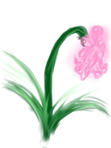 Pink Orchid thumb