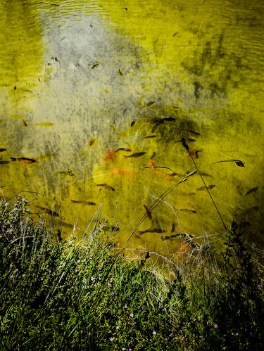 Original Abstract Water Photography by Luis Algado