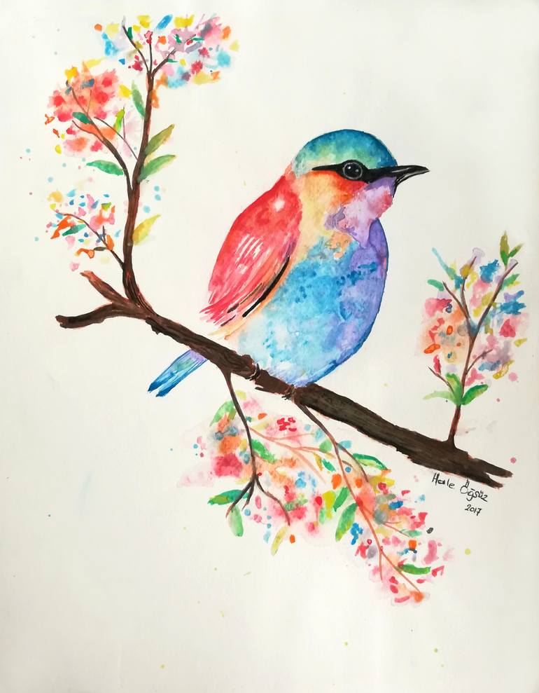 birds color drawings