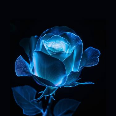 Midnight Bloom Bioluminescent Rose Black Background thumb