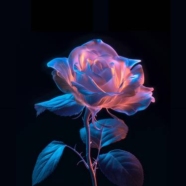 Floral Fantasy Bioluminescent Rose on Black Background Digital thumb