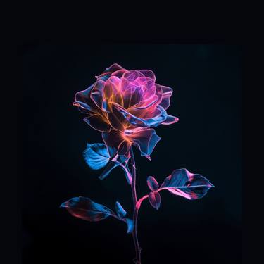 Ethereal Blossom Bioluminescent Rose on Black Background Digital thumb
