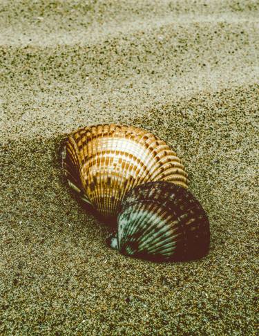Original Abstract Seascape Photography by Melissa Fague - PIPA Fine Art