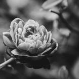 Collection Nature Photography