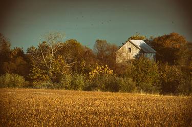 Country Theme Wall Art: Abandoned Barn In The Trees - Colorized thumb