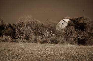 Abandoned Barn In The Trees - Monochromatic thumb