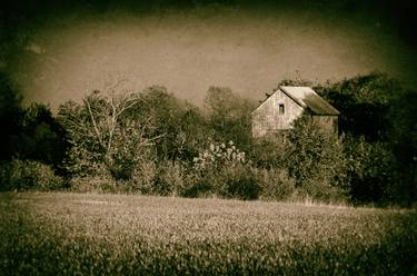Abandoned Barn In The Trees - Vintage thumb