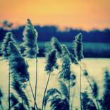 Collection Nature Photography