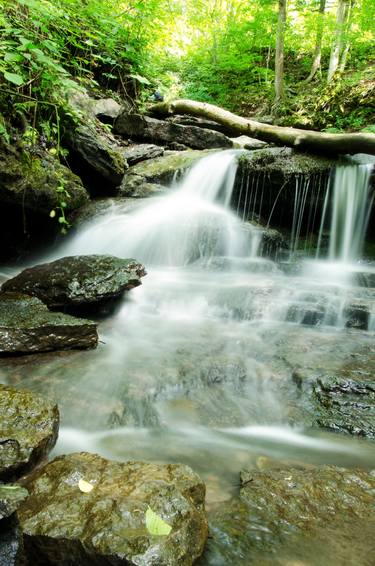 Pixley Waterfall and Forest 2 Rural Landscape thumb