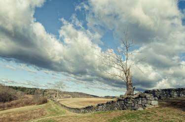 Dead Tree and Stone Wall - Split Toned Landscape thumb