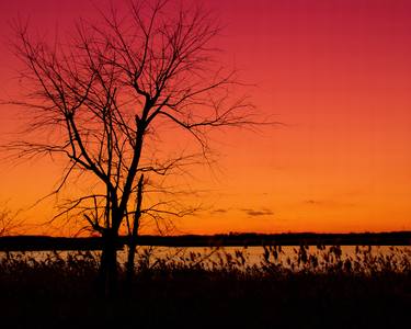 Burning Skies Rural Landscape Photo thumb