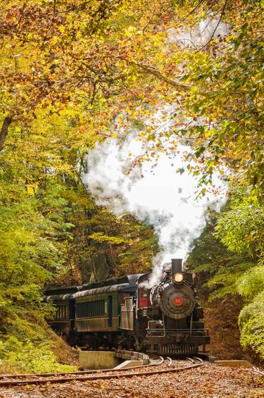 Steam Train with Autumn Foliage Rural Landscape Photograph thumb