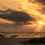 Collection Landscape Photography