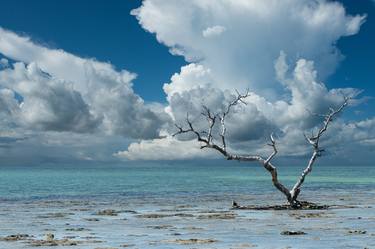 Original Minimalism Beach Photography by Melissa Fague - PIPA Fine Art