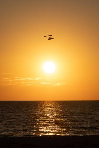 Flying High at Sunset Coastal Landscape Photo thumb