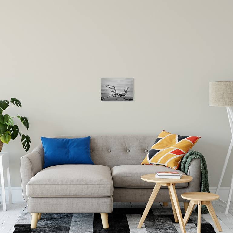 Original Other Seascape Photography by Melissa Fague - Pipa Fine Art