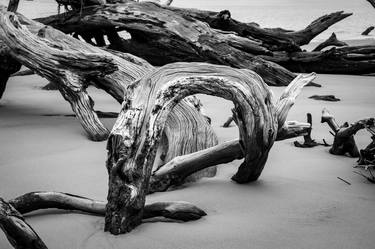 Black & White Coastal Driftwood Nature Photo thumb
