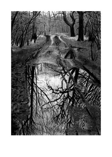 Reflections, Bushy Copse - Limited Edition 6 of 25 thumb