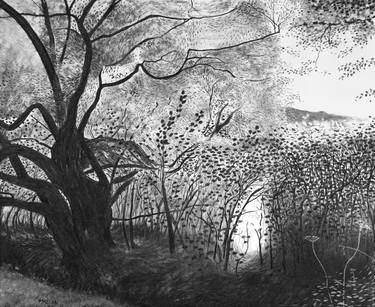 Original Landscape Drawing by Mossie Quille