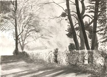 Original Landscape Drawing by Mossie Quille