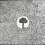 view additional image 1