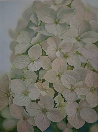 Original Fine Art Floral Paintings by Alyona Shostal