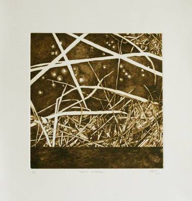 Original Figurative Nature Printmaking by Liz Gartz