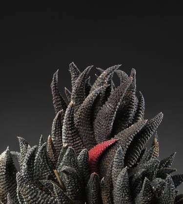 Original Botanic Photography by Jac de Villiers