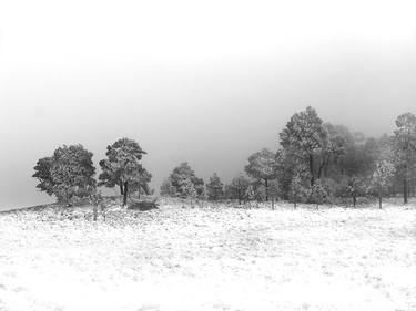 Winter on the Sierra thumb