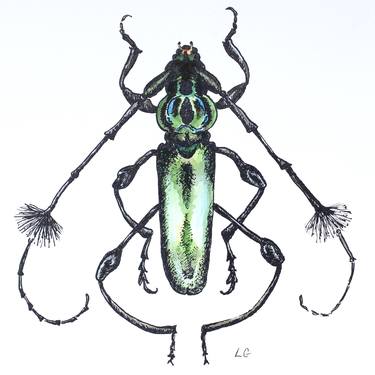 Green Beetle, Cosmisoma thumb