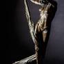 Inspired by the story of The Stolen Veil (the original title of Swan Lake) this is a nod though to female empowerment. The athletic and aesthetic lines of the female form capture the attention of the male gaze. She uses her sexuality to reveal an emotional strength  exploiting the weakness of male desire. 
Bronze is a sensual exotic material and the ferric patina reveals enough of the raw material to emphasise it's sensuality.