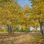 Sunny Autumn Morning by Igor Barkhatkov
