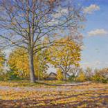Sunny Leaf Fall by Igor Barkhatkov