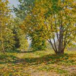 Sunny Evening by Igor Barkhatkov