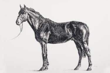 Print of Figurative Animal Drawings by Bertrand Neuman
