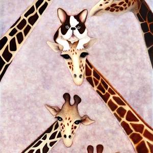 French Bulldog on a giraffe's head