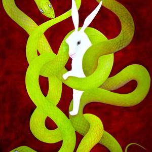 Rabbit in snakes